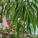 자민환경 이미지