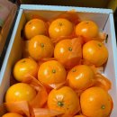 고랑몰랑 이미지