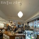 브라운씨 - 강서구 강서로47가길 33 | 브라운씨