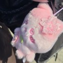 [일본 직구] 메루카리 카에루몰 구매대행 후기(치이카와)