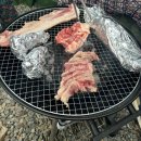 영월힐링하우스 | 강원도 영월 힐링 촌캉스 숲속트리하우스 큰터 솔직후기