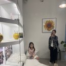 하랑유치원 | 동탄 미용실 추천! 아이머리부터 여자머리까지 예쁜 동탄 하랑살롱 내돈내산 후기