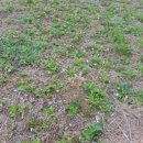 반제농장 이미지