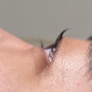 무거동 강아지 미용실 | 울산속눈썹펌 잘하는곳 코디뷰티 방문 후기ㅣ울산속눈썹연장 무거동속눈썹 추천 ✨