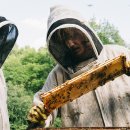 P.E.M Korea 이미지