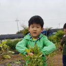 박달농원 이미지