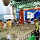 갯지렁이 전시관 이미지