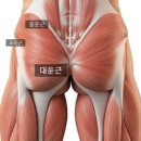 어댑트짐
