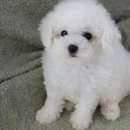 몽글몽글 이미지