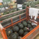 과일소담촌나주