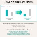 평안탕 이미지