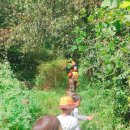 한울숲유치원 이미지