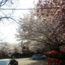 미득골 가든 이미지