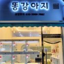 김해 강아지분양 고양이분양 똥강아지 이미지