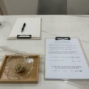고운손길에스테틱 네이버블로그