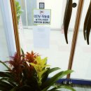 E쇼팽음악학원 이미지