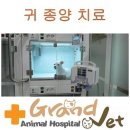 그랜드벳동물병원