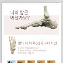 알즈너 점프 대리점 이미지