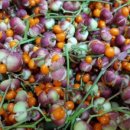 사철슈퍼 이미지