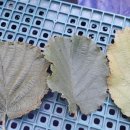 봉화농장 이미지