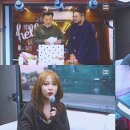 고스타 이미지