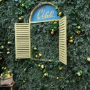 용산-405 | 흑백요리사 용산 양식 맛집 쇼니노 주말 예약 방문 후기