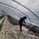 장암농업협동조합 이미지