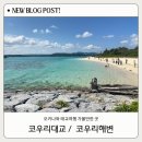 영가대교남단 다리 아래 | 오키나와 가볼만한 곳 코우리대교 드라이브, 코우리해변 주차장 포토스팟 추천