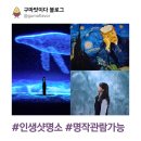 명화 | [강릉] 아르떼 뮤지엄 - 전시회 솔직후기 &amp; 명화 지식한입