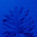 주말 오피스 활용 이미지