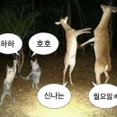 라라광고기획 - 양산시 연호7길 10 | [마케팅 부트캠프/퍼포먼스 마케터 취업 준비] 도와세움 디마에 93기 6주차 후기(1) - (안)신나는 월요일
