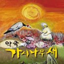 악극 가시나무새 Daum카페