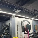 크로스핏 라이노 이미지