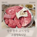 소설 정육식당 이미지