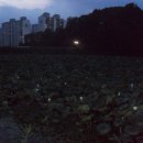 옻골공원 이미지