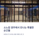 월명실내수영장 | 숙소 추천 | 5성급으로 리뉴얼! 소노캄 경주(구 소노벨) 수영장, 객실, 부대시설까지 완벽 호캉스 후기