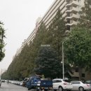 압구정-113 이미지