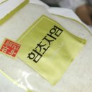 청년고등어 이미지