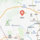 은파랑여행사