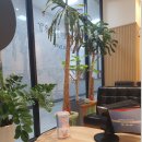 미네소타구강악안면외과치과의원 이미지