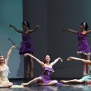 수원발레축제 이미지