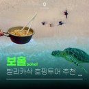 보홀 호핑투어 발리카삭 보홀션 프리미엄 샤인 추천