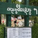 도실목장 이미지