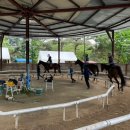 운악호스랜드 이미지