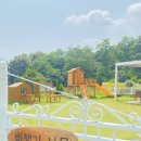 나무펜션 이미지