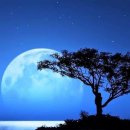 고양대로 이미지