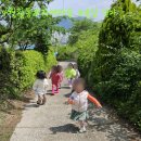 솔밭어린이집 이미지