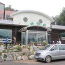 자연애오리 이미지