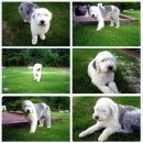 여주-0070 이미지