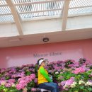 해곤농장 이미지